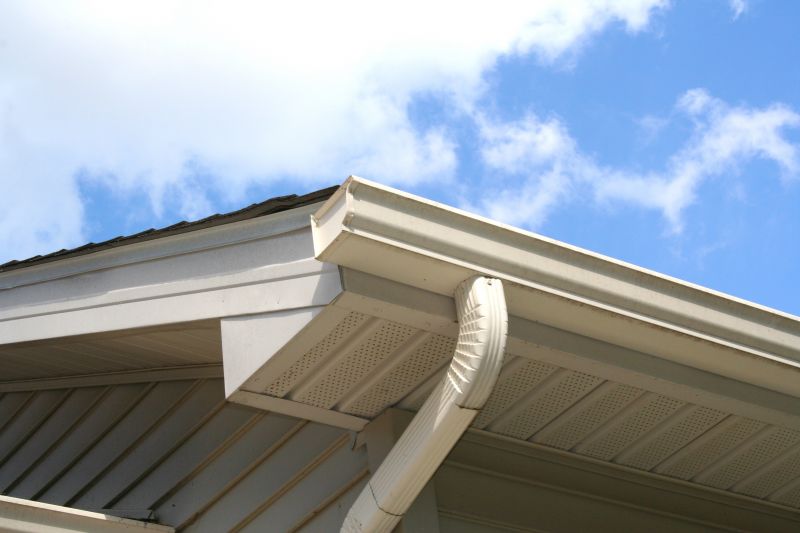 Gutter and Roof System Checks